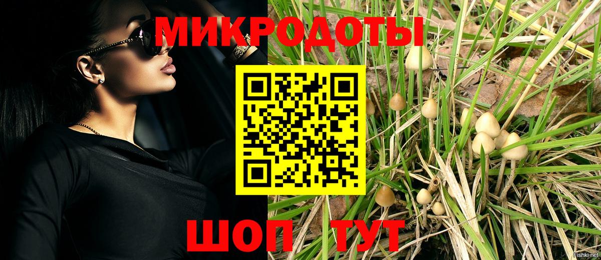 Беслан  Галлюциногенные грибы прущие грибы  Вход с VPN 