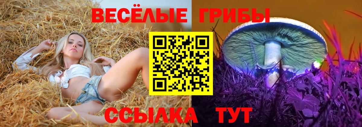 Псилоцибиновые грибы мухоморы Беслан